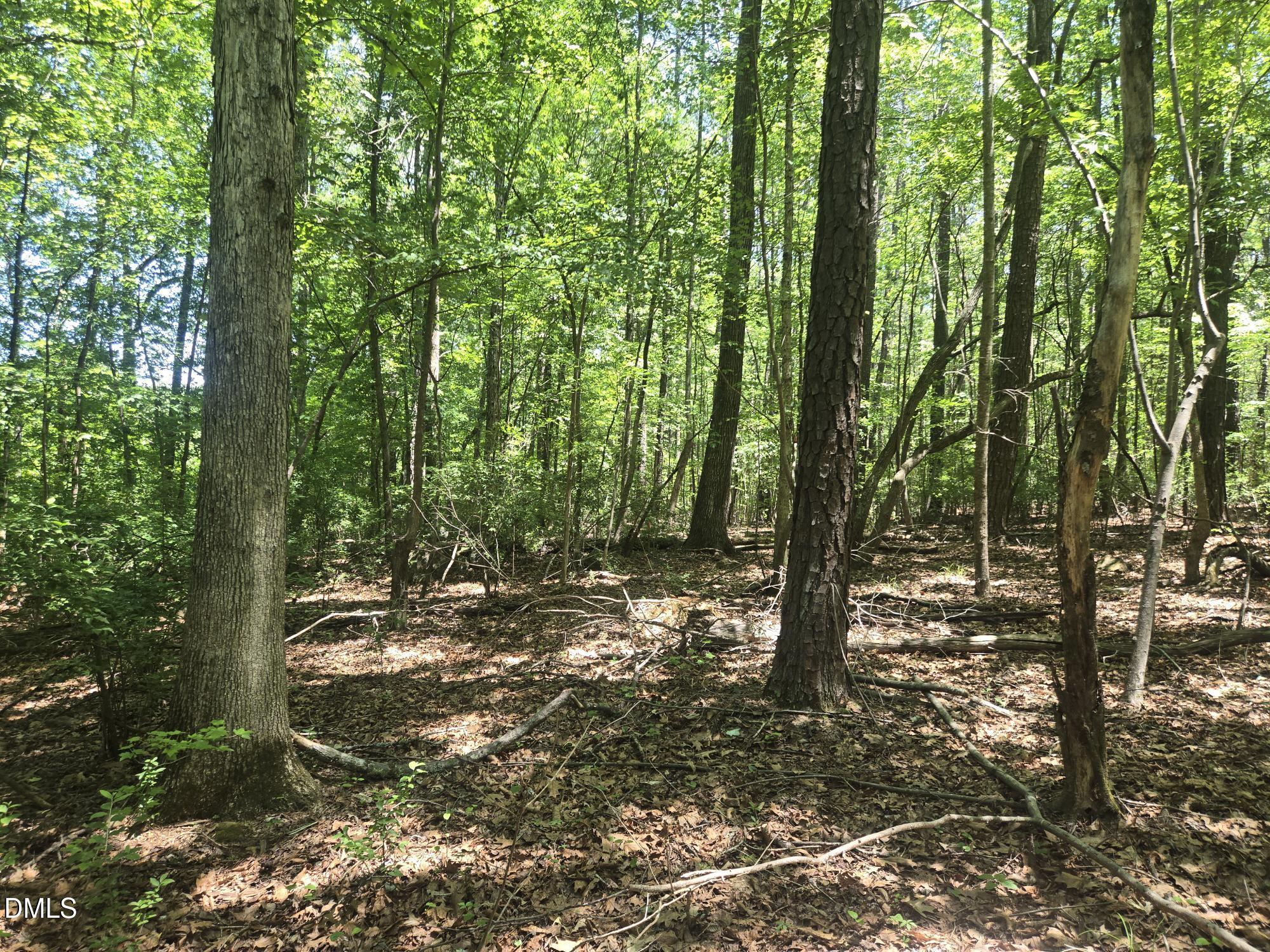 325 Walnut Branch Road