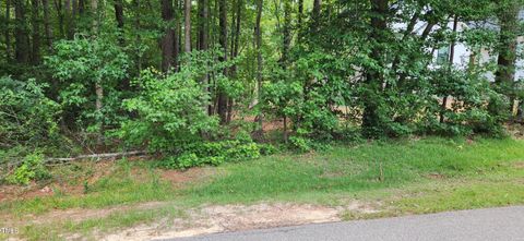 1316 Sagamore Drive Louisburg NC 27549