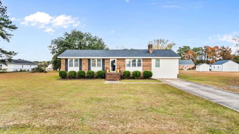 Photo of 49 Camile Drive, Princeton, NC 27569 (MLS # 10135415)