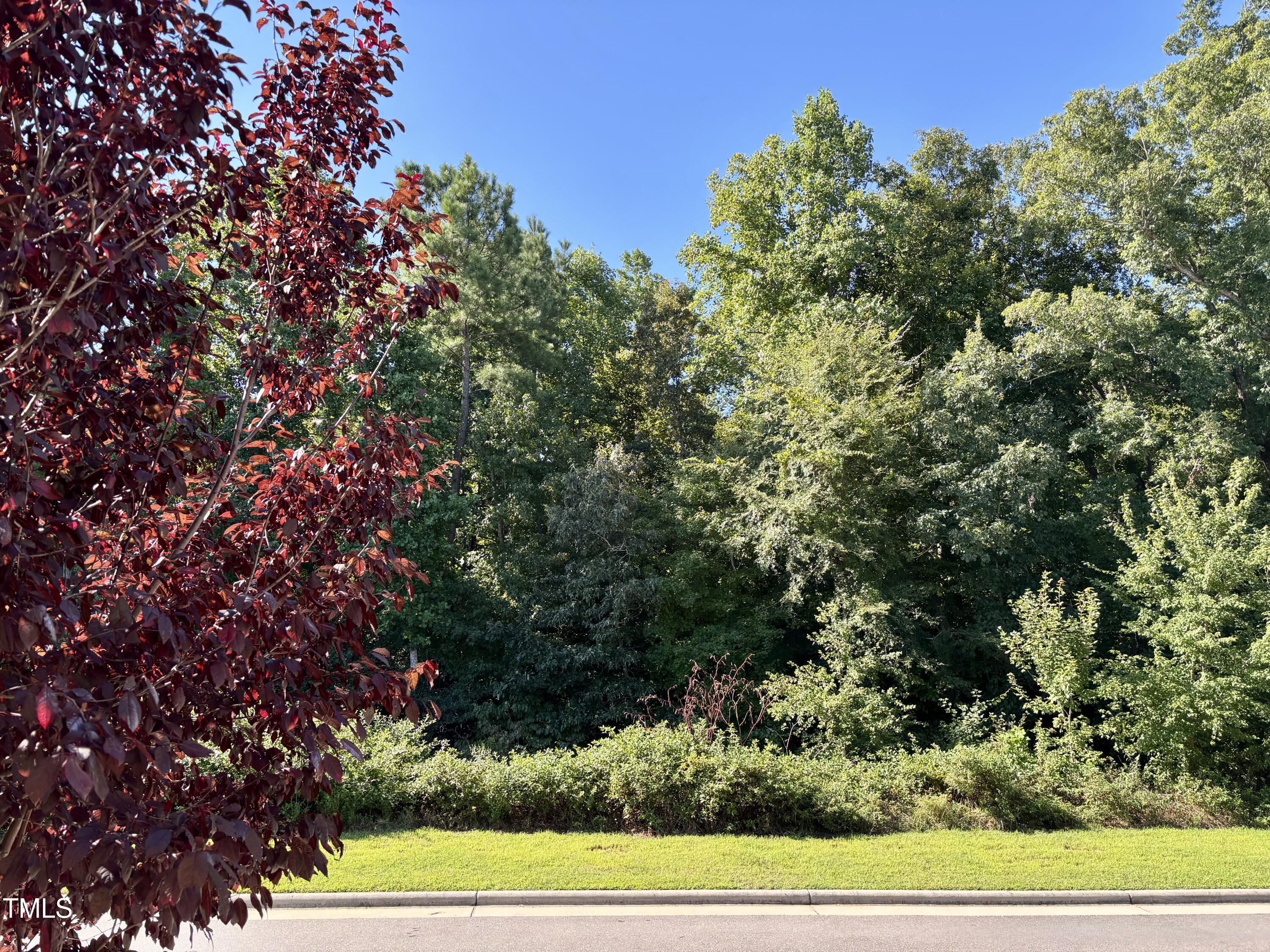 77 Hawk Point Road