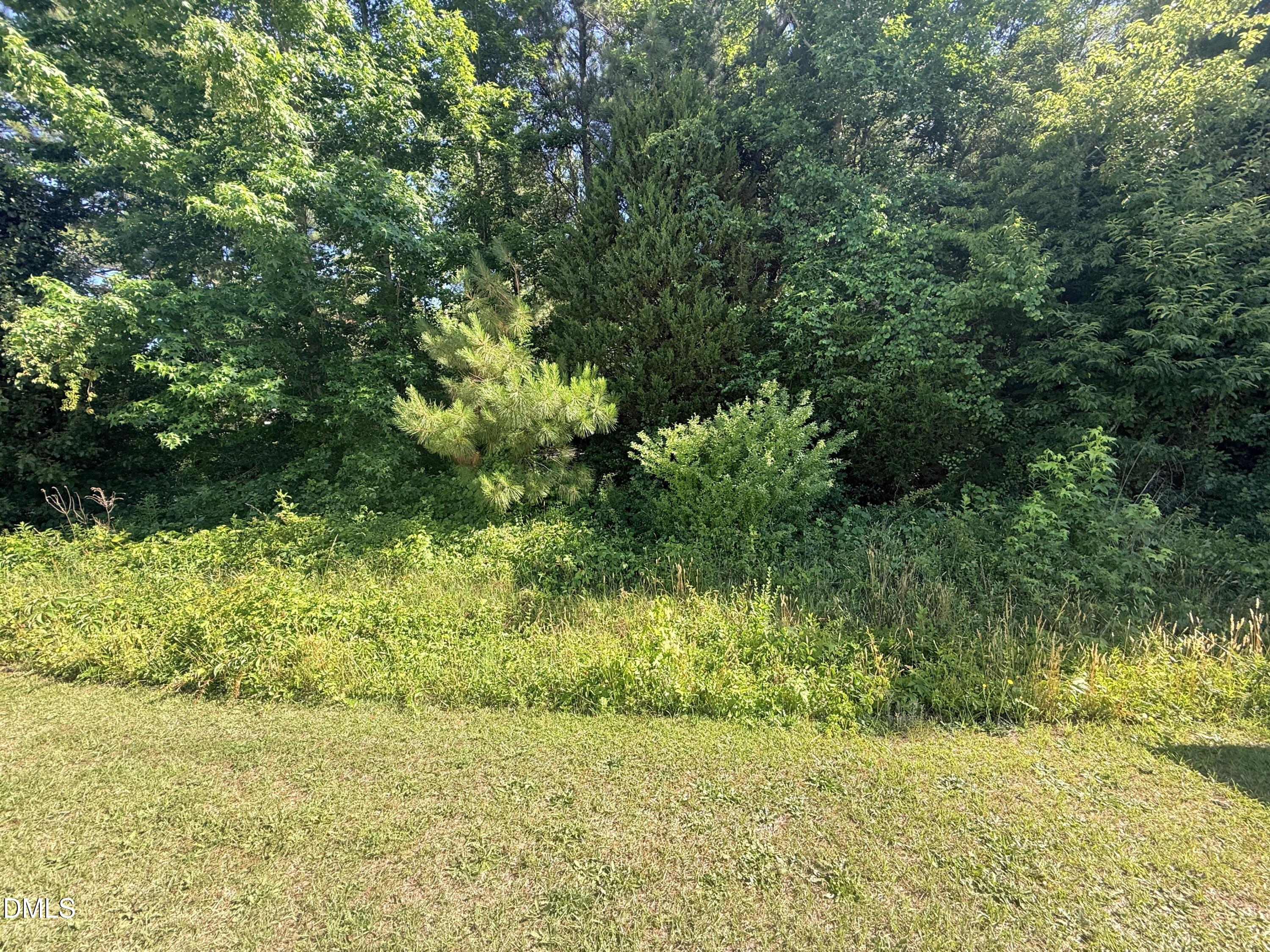 2544 Rock Pillar Road