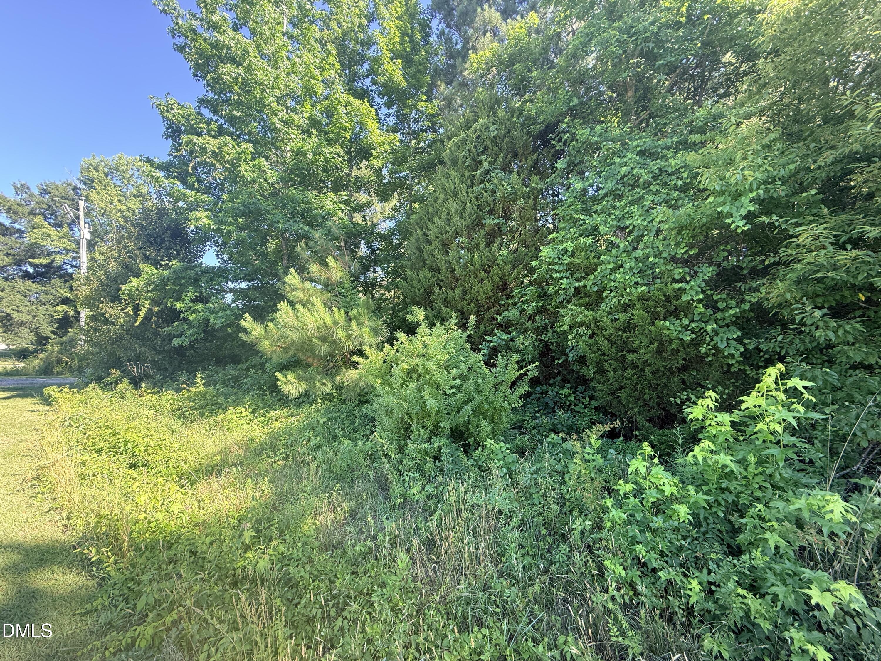 2544 Rock Pillar Road