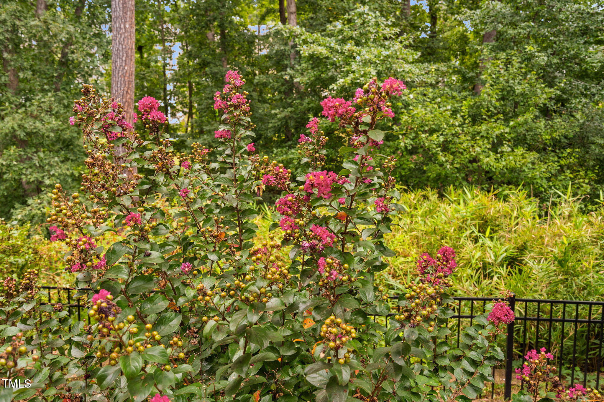 Apex, North Carolina 27502, United States, 5 Bedrooms Bedrooms, ,4 BathroomsBathrooms,Residential,Active,1895