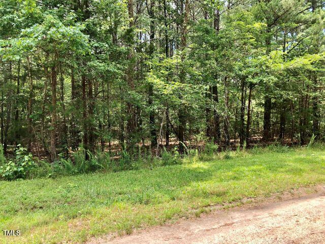 145 Daniel Boone Trail