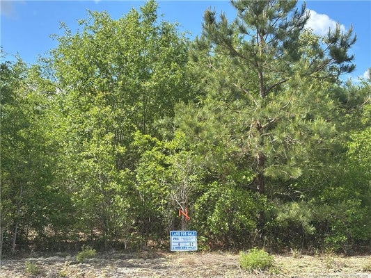JOHNSON RD, FAYETTEVILLE, NC 28312 - Image a71c8c8c74768f3eeed344357826efdc/2613043775