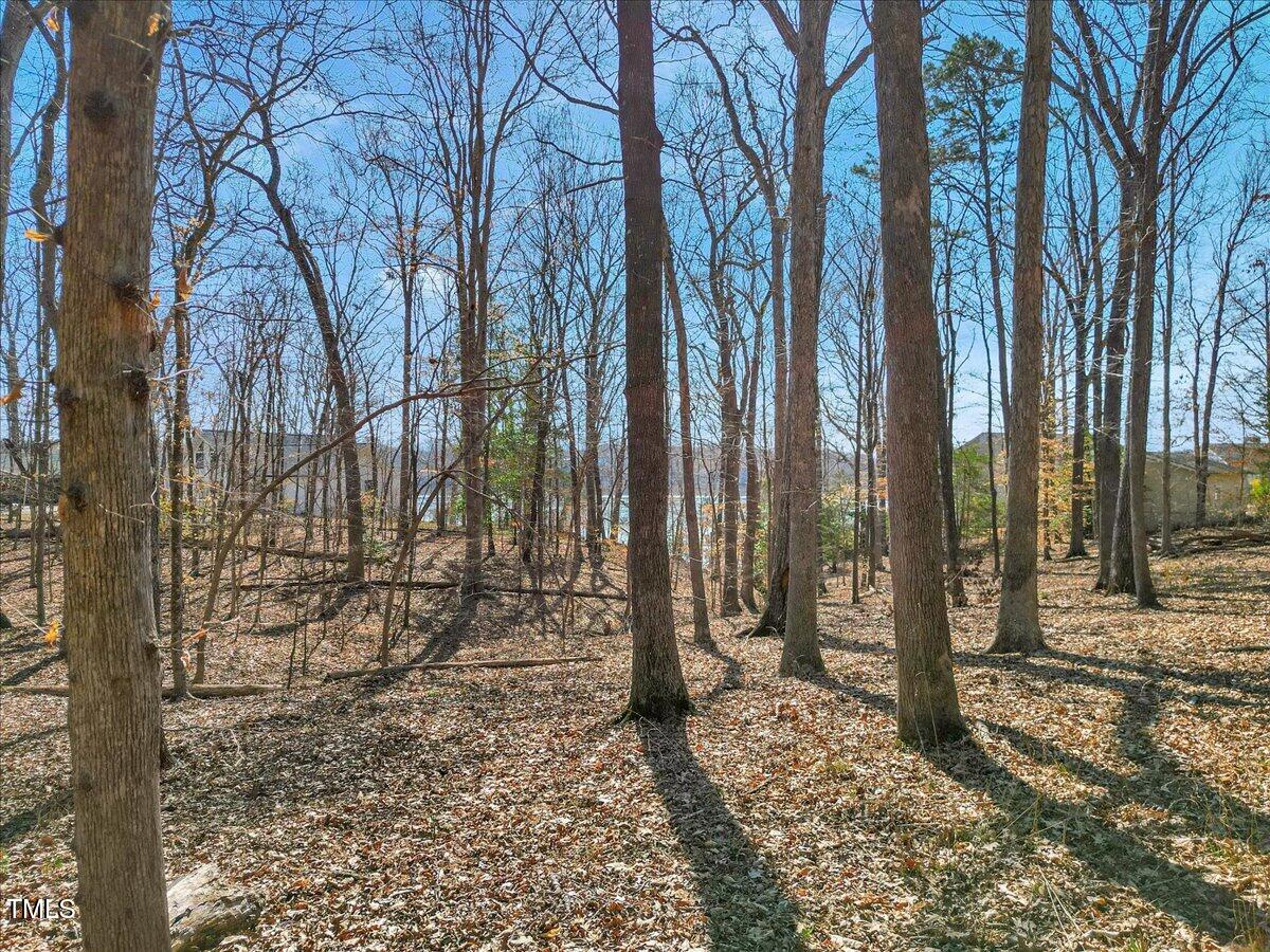 Lot 79c Tall Tree Drive