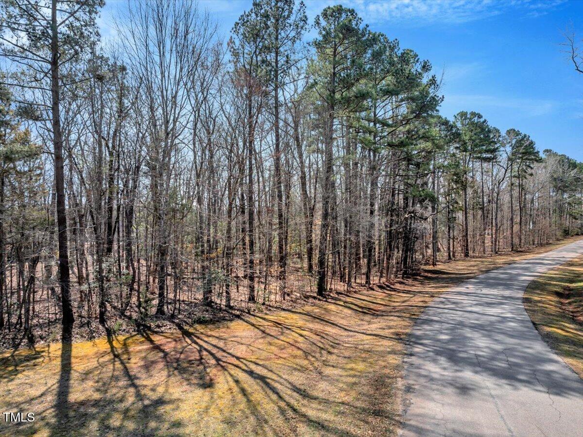 Lot 79c Tall Tree Drive