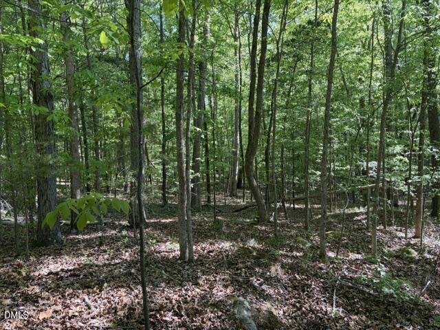 0 Bethel South Fork Road