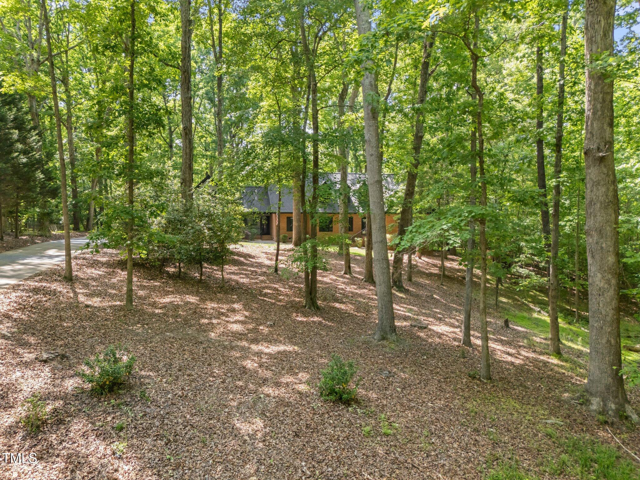 12537 Birchfalls Drive