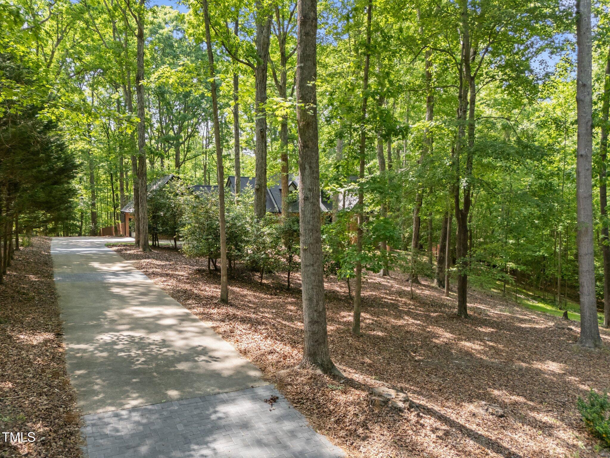 12537 Birchfalls Drive