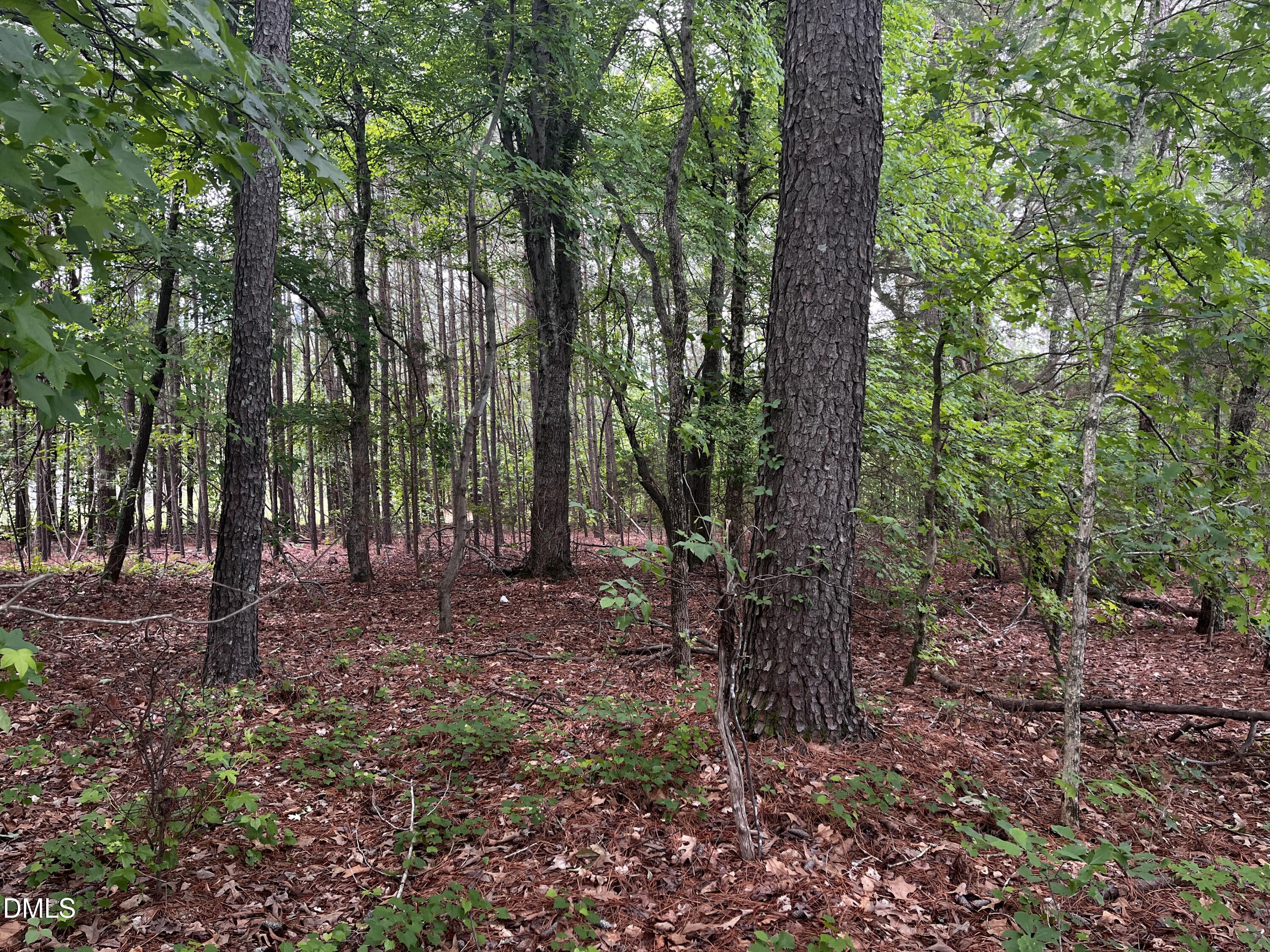 00 Bearpond Road