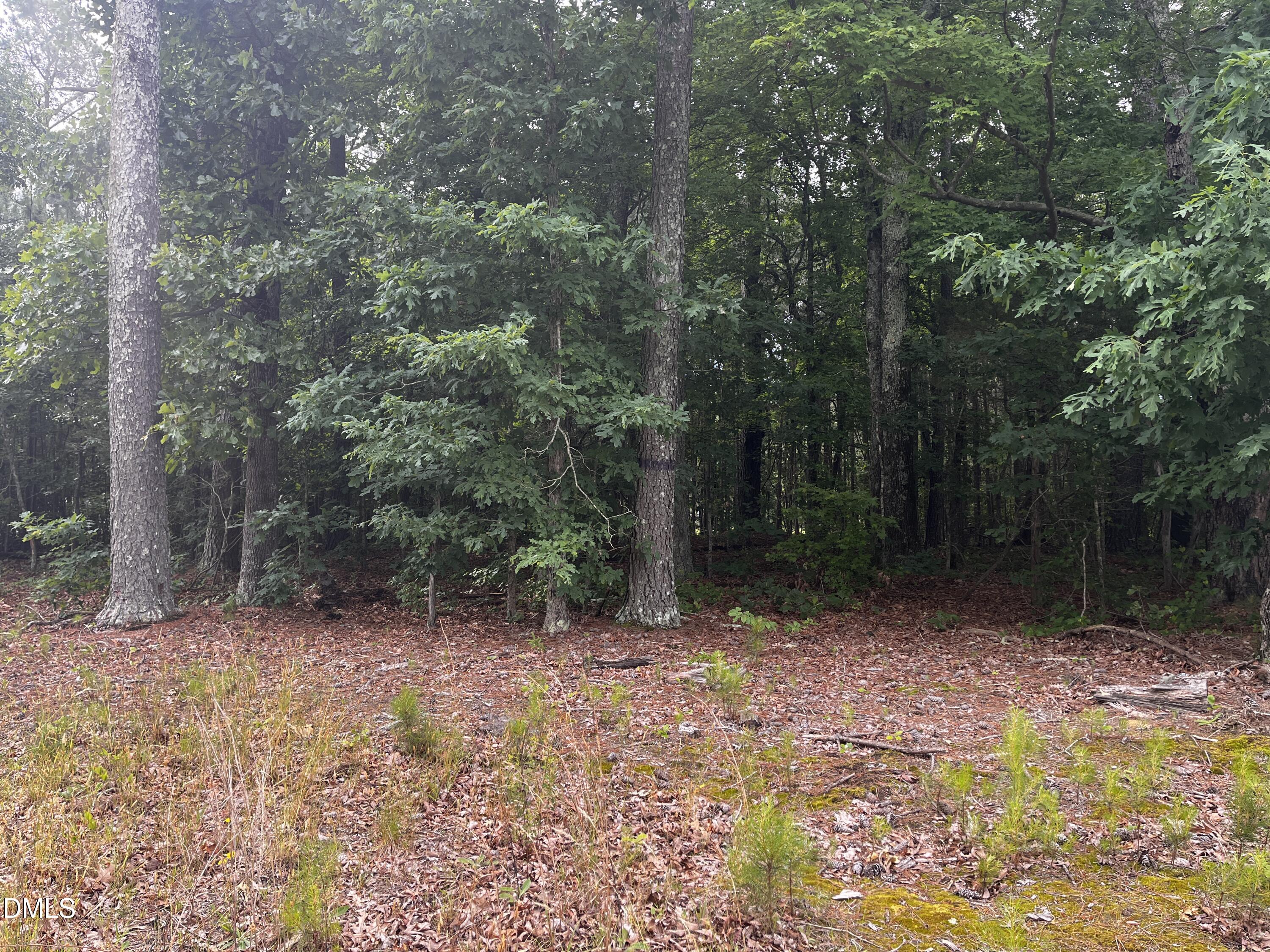 00 Bearpond Road