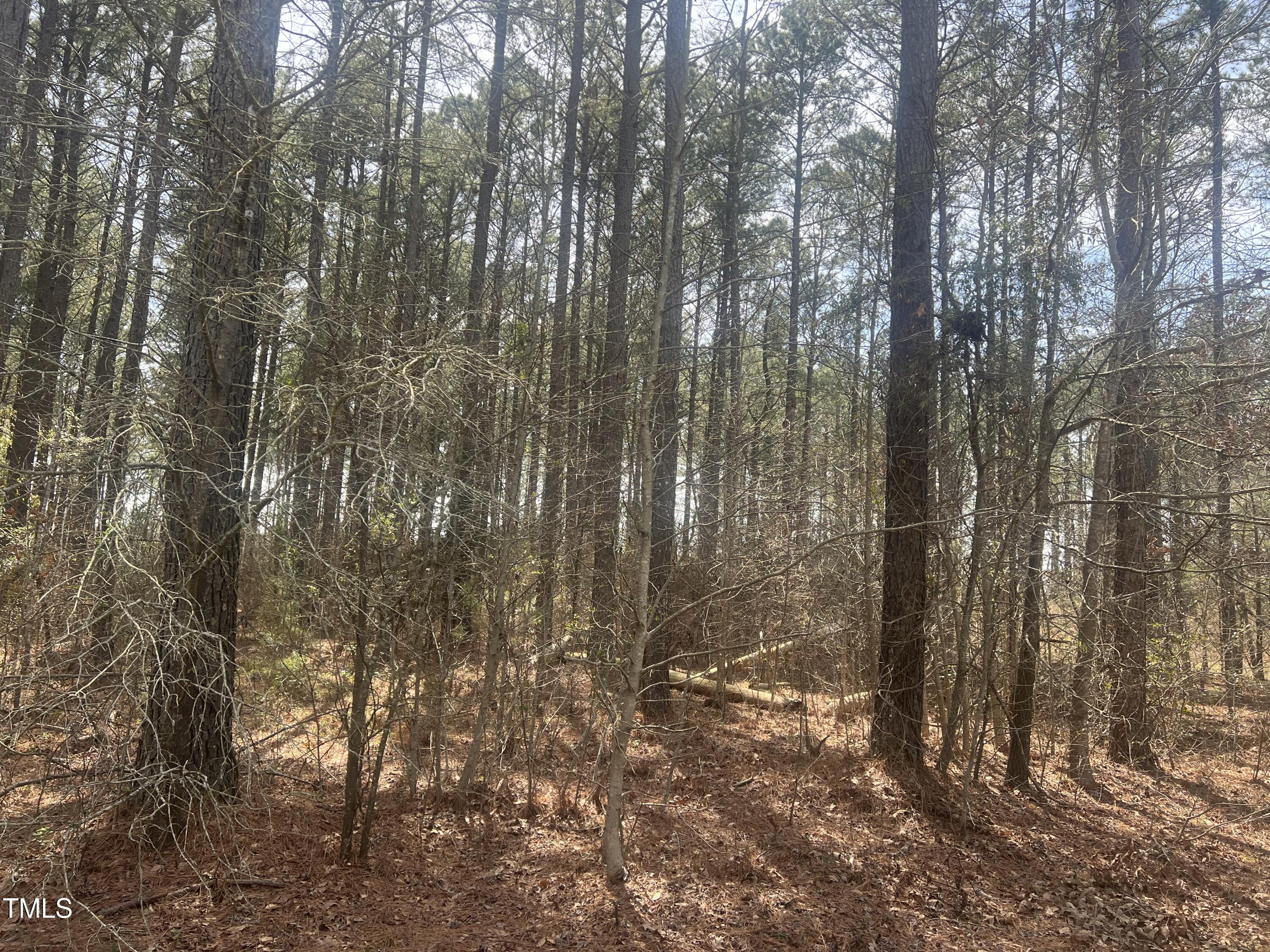 0 Chesley Lane
