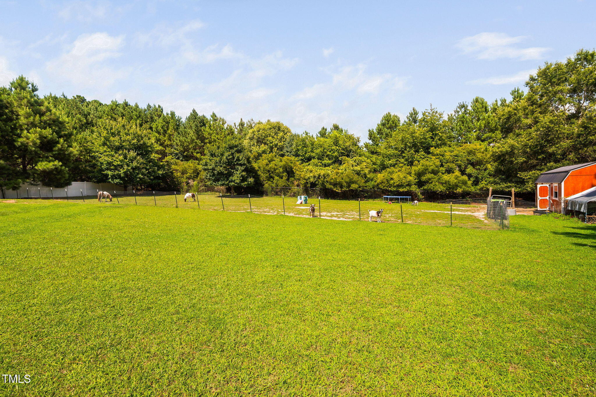 1824 Ferrell Meadows Drive