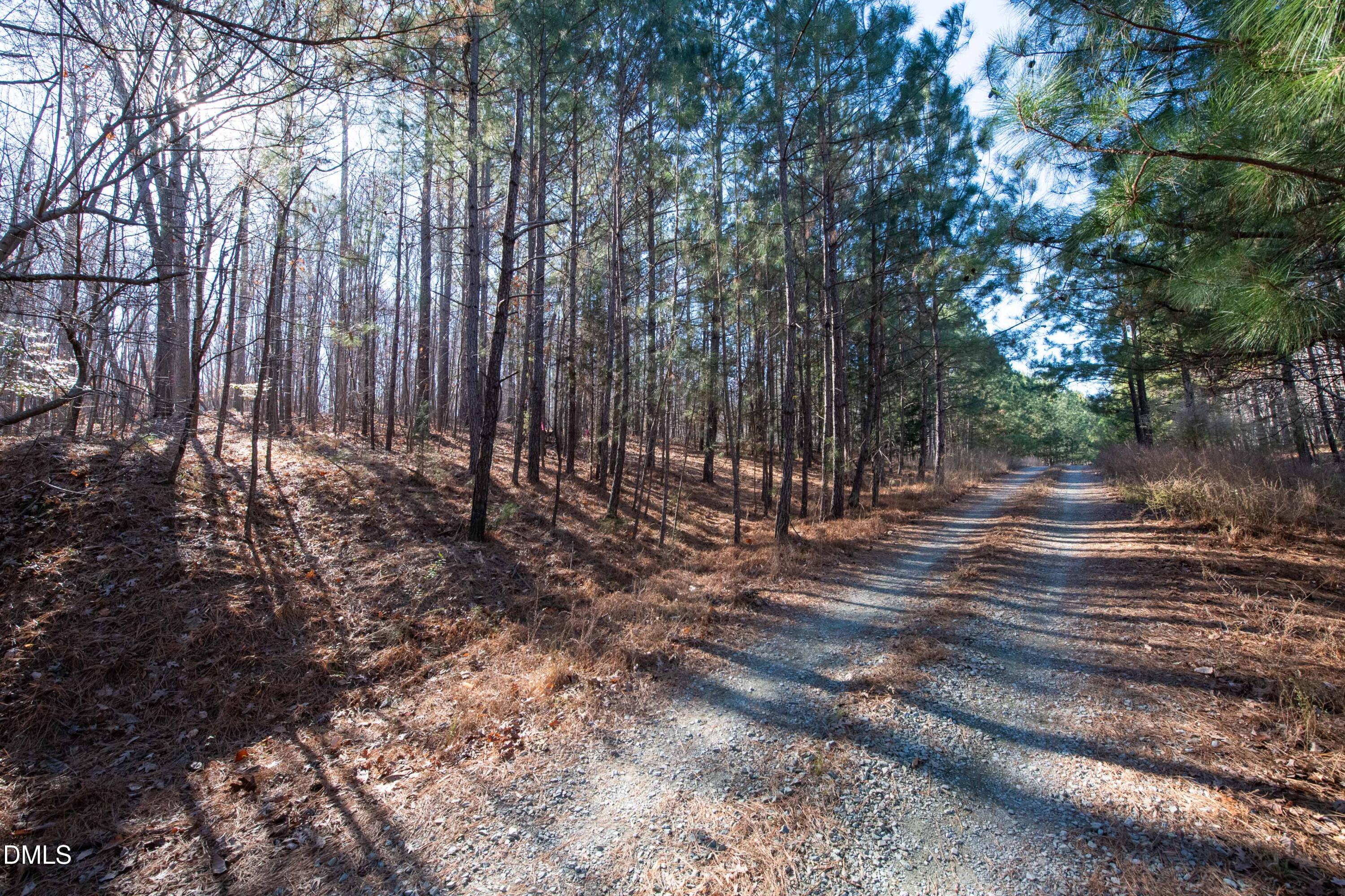 319 Bush Creek Lane