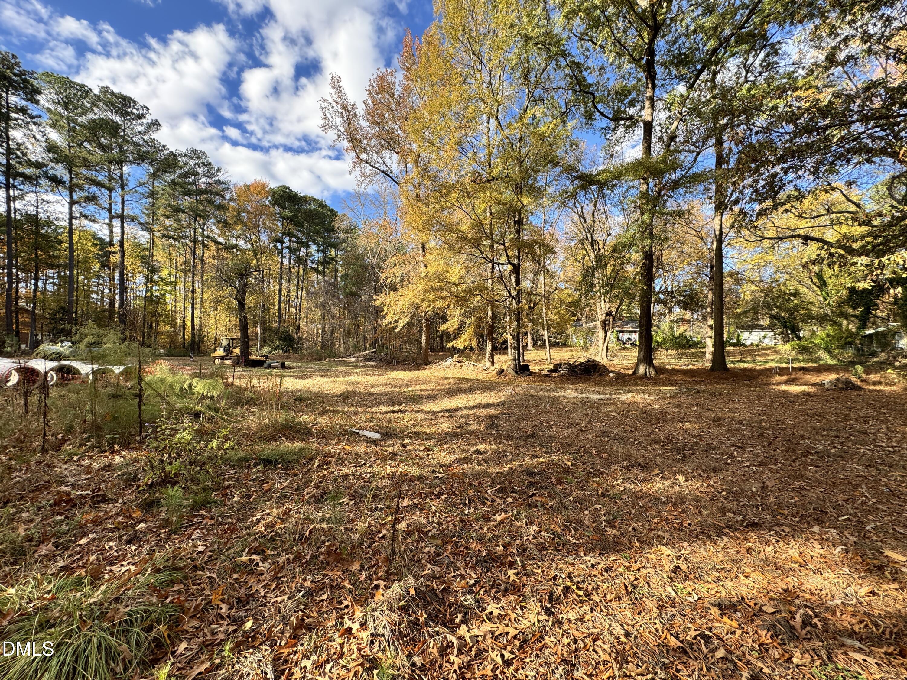 111 Forest Green Drive