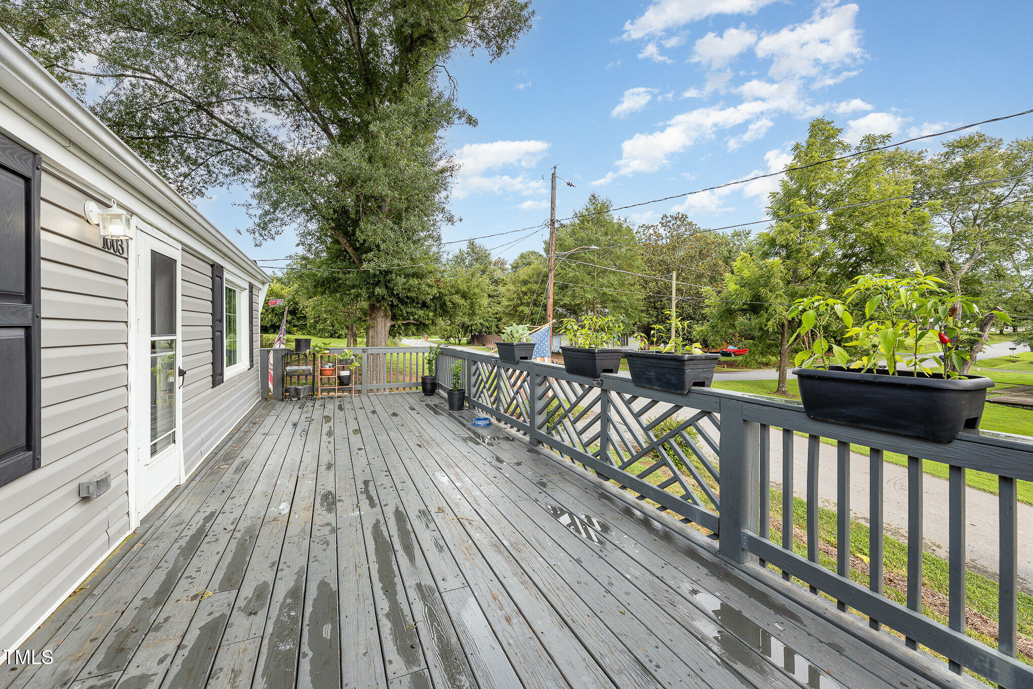 1003 Willow Street