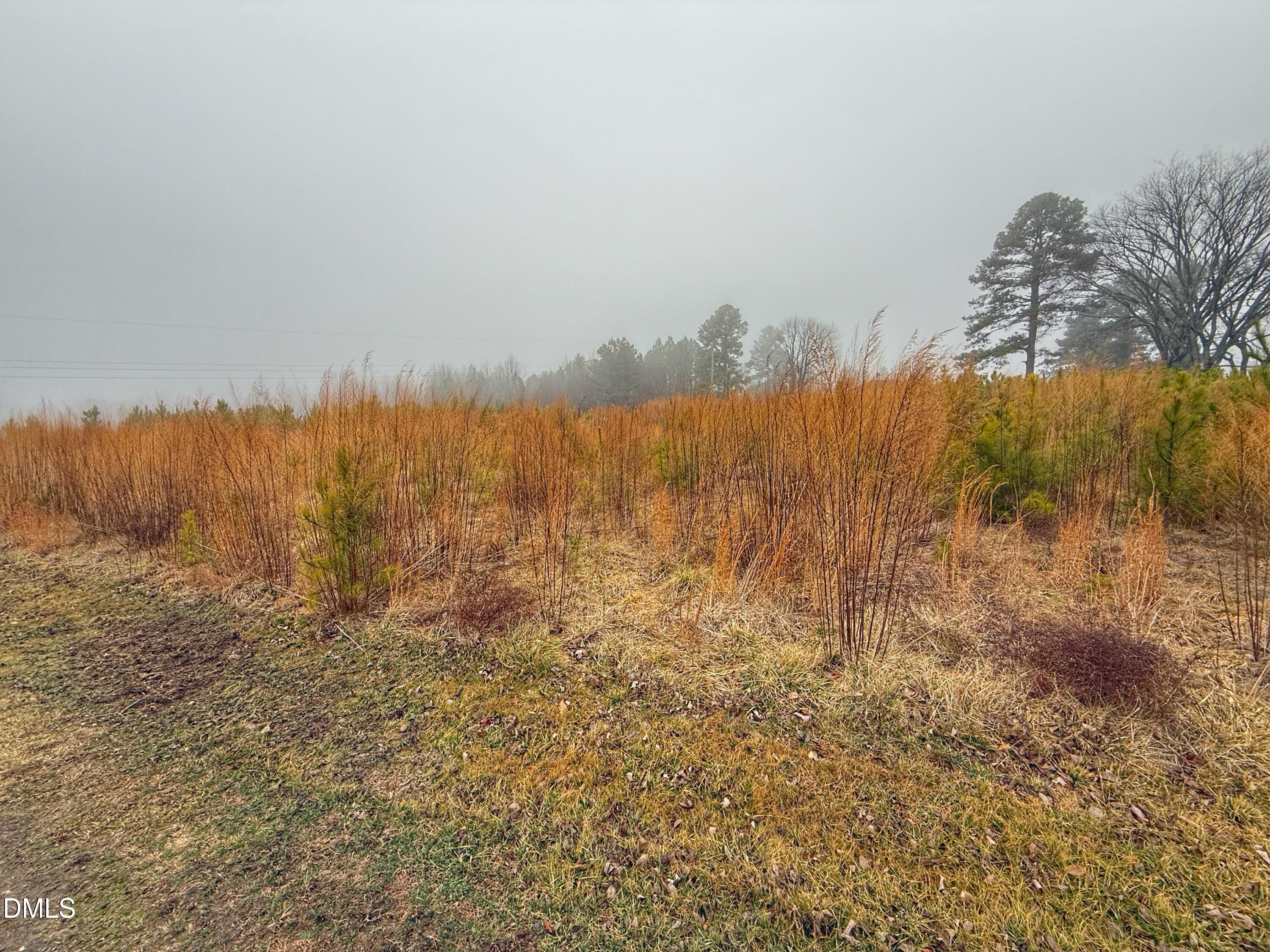 1630 Ruin Creek Road