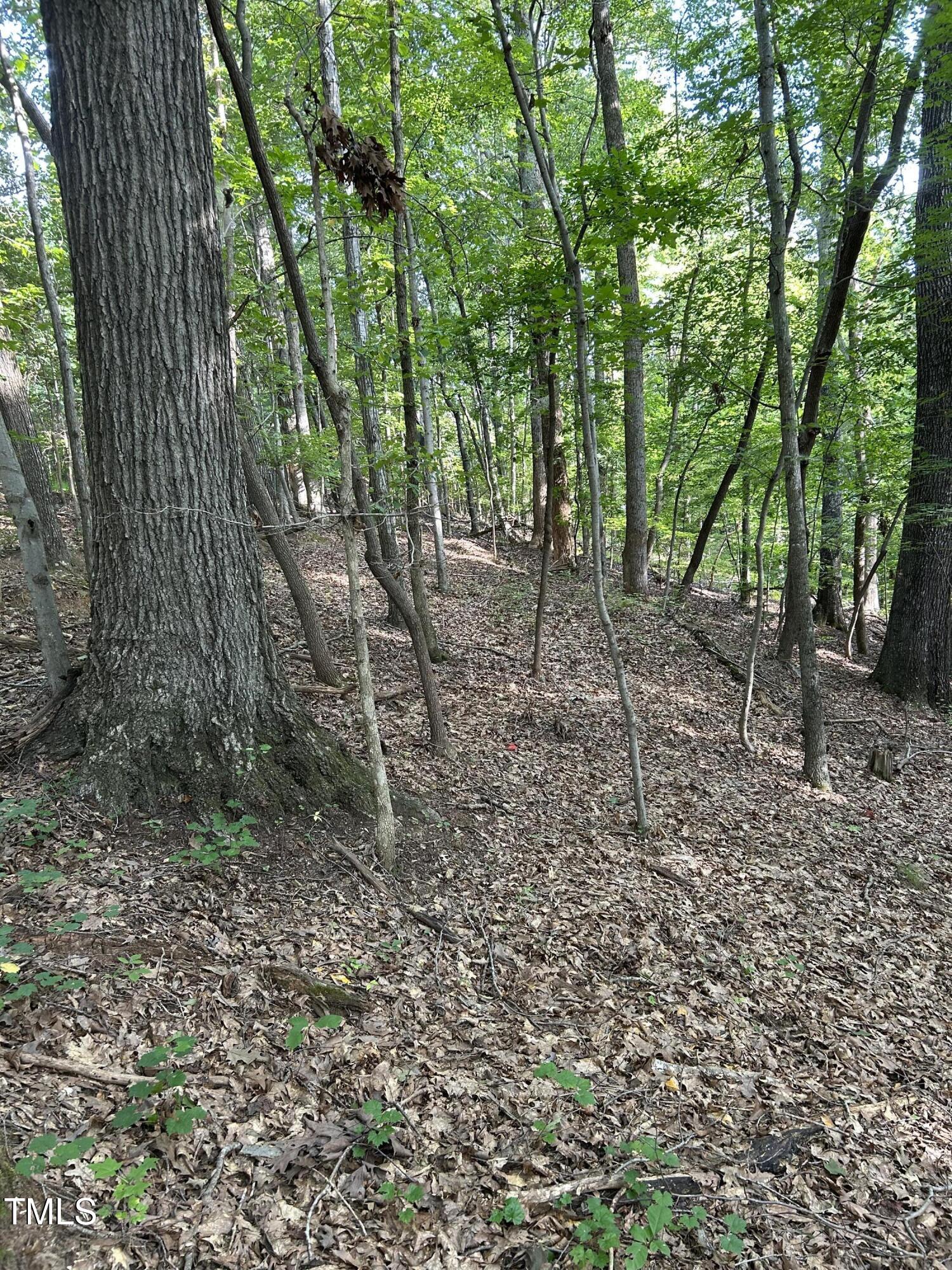 0000 Jewell Road
