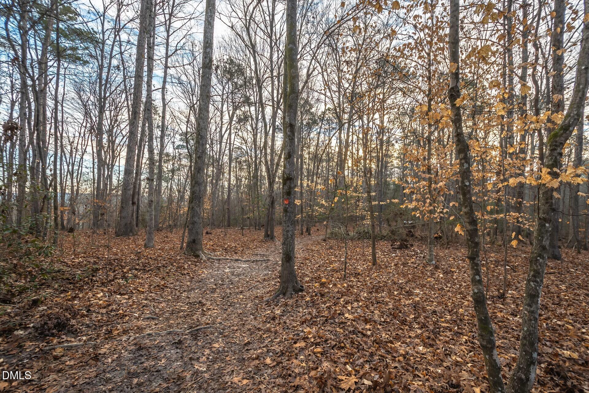 363 White Magnolia Lane