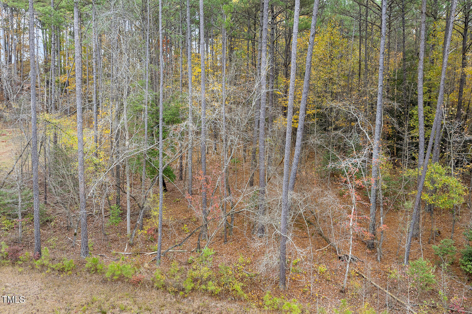 281 Mill Bend Drive
