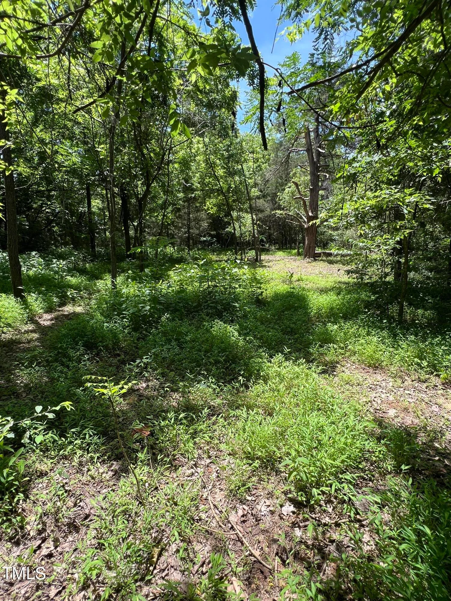 2201 Moorefields Rd Rd