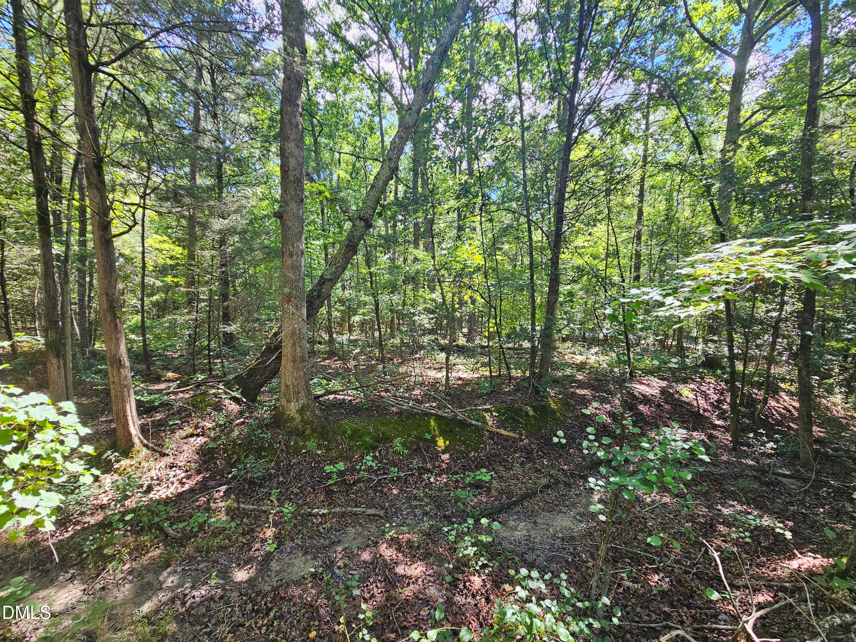 625 Harts Creek Drive