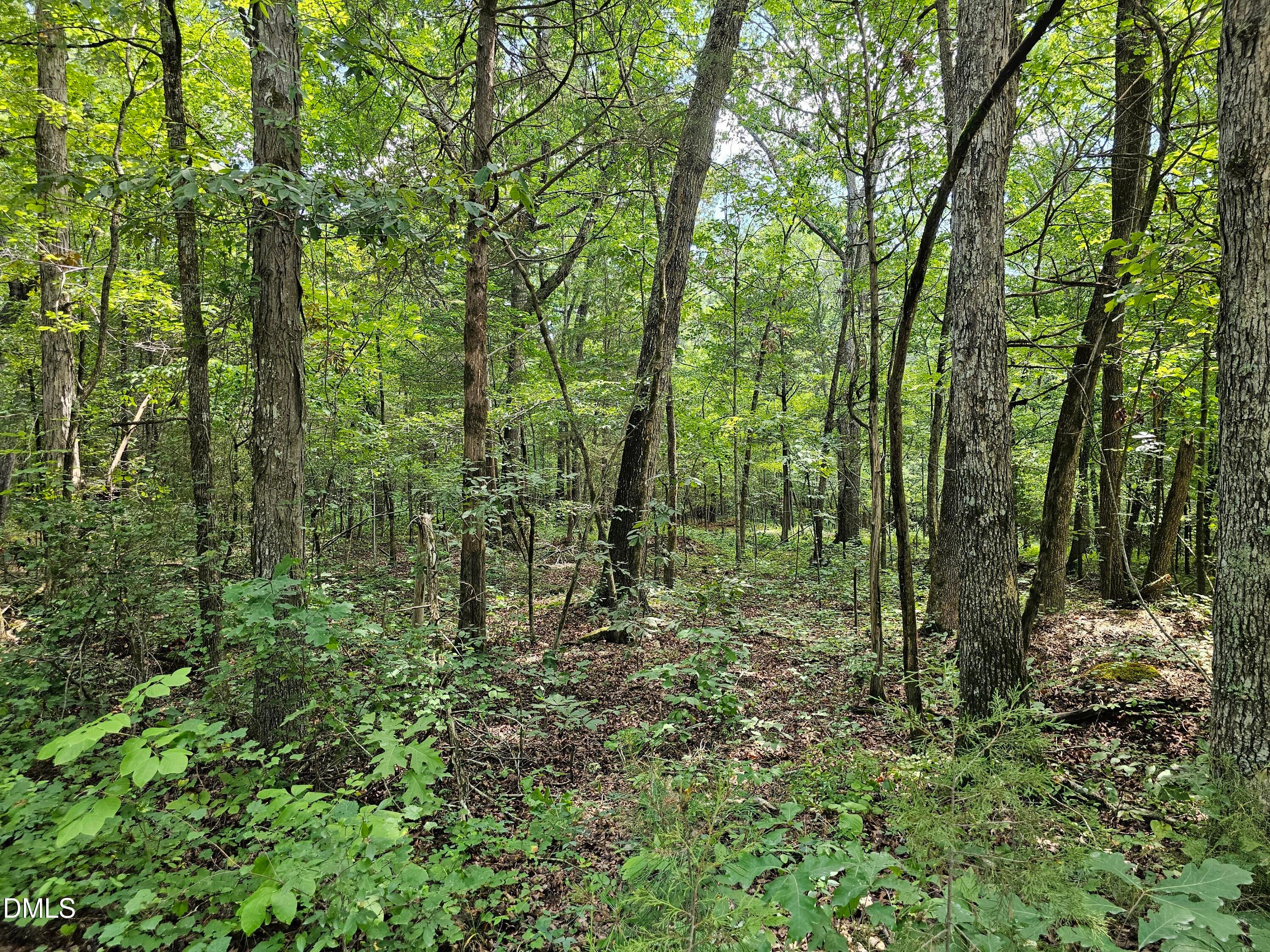 625 Harts Creek Drive