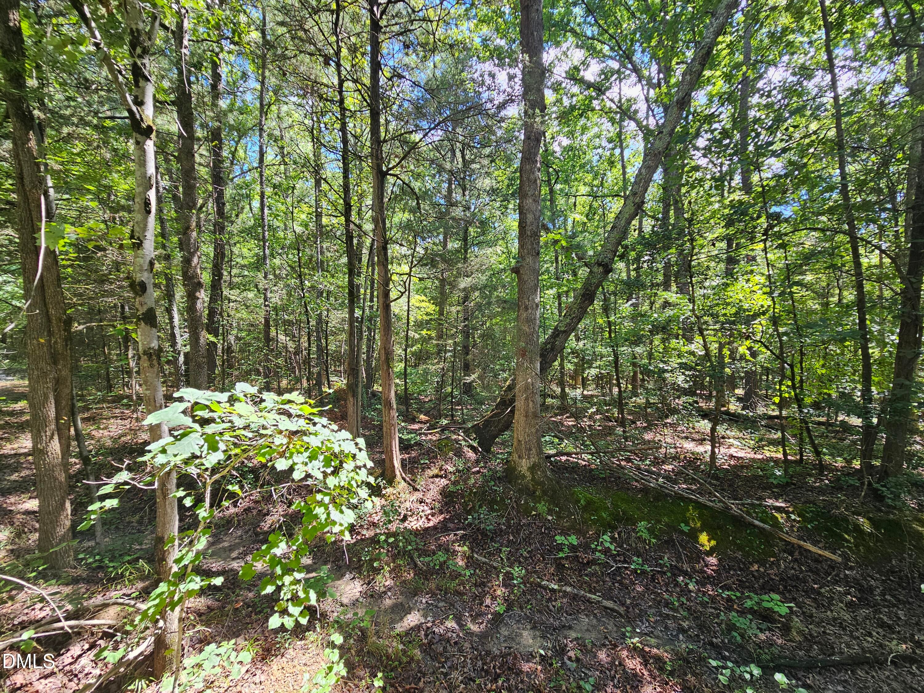 625 Harts Creek Drive
