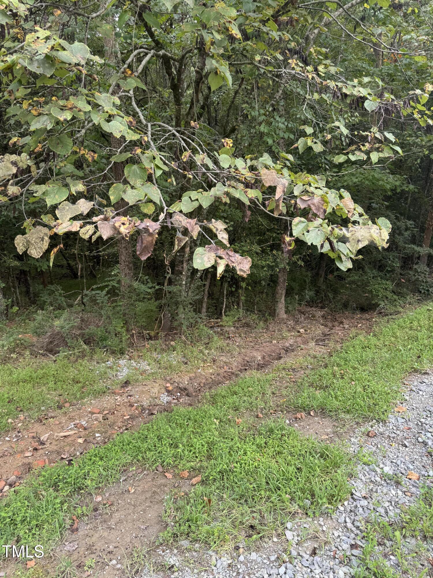 Tbd Walnut Springs