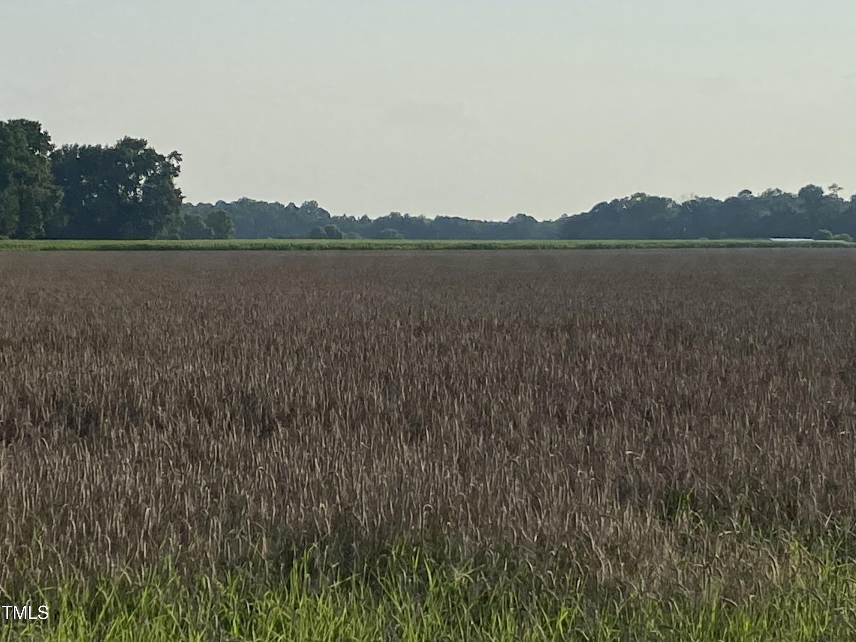 2328 Page Rd Road