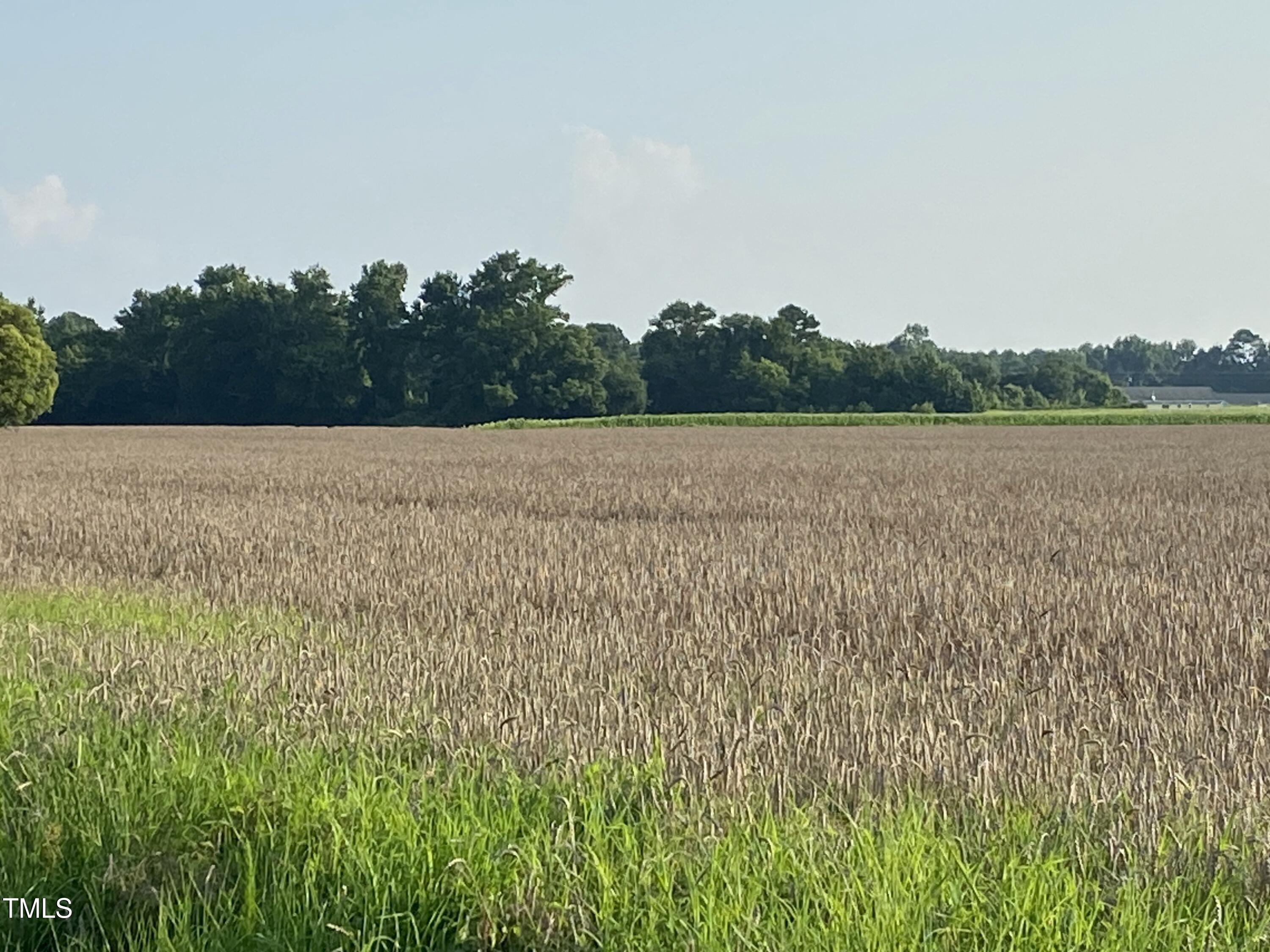 2328 Page Rd Road