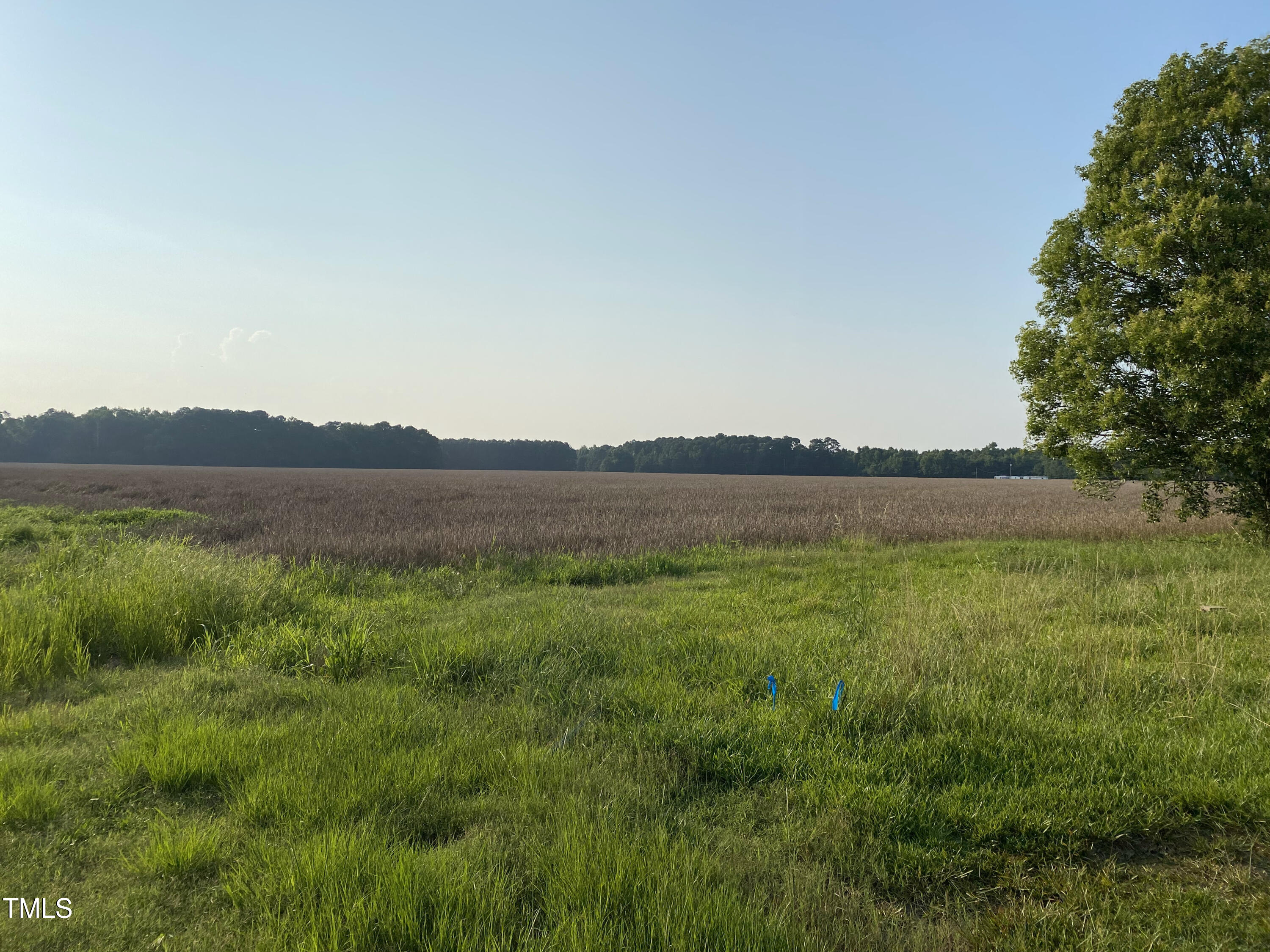 2328 Page Rd Road