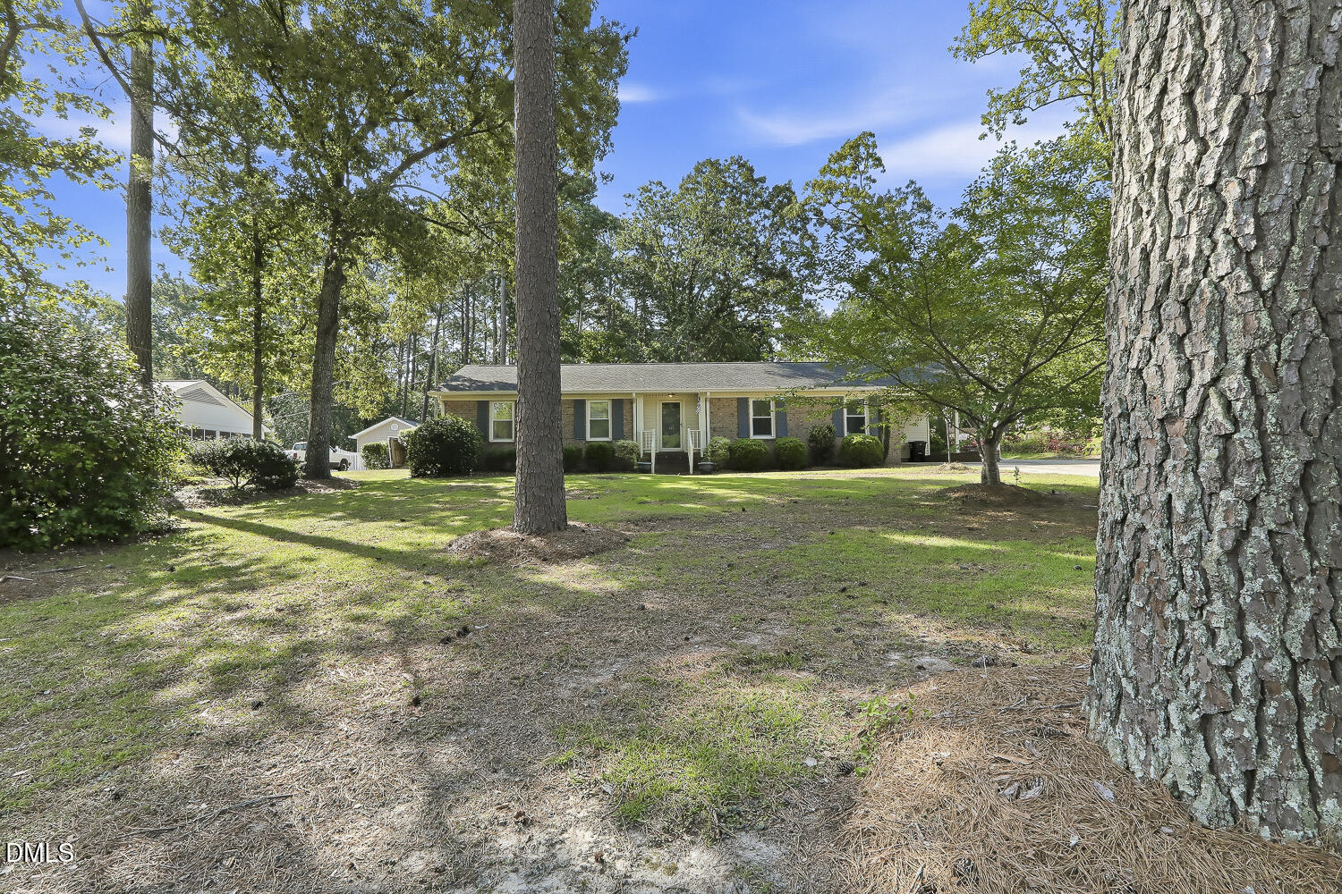 353 Dogwood Lane