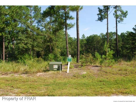 Photo of 182 Broadlake (637) Lane, Spring Lake, NC 28390 (MLS # LP734181)