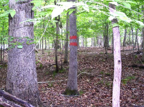 Photo for 105 Oak Run