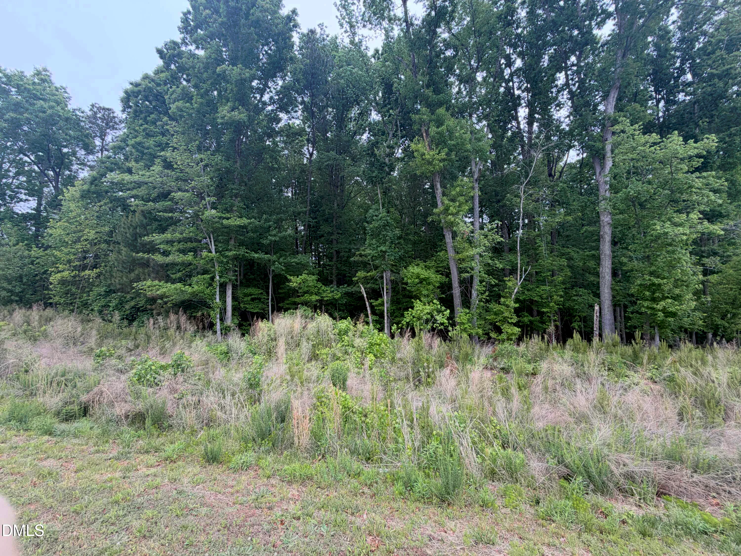 4317 Kildaire Farm Road