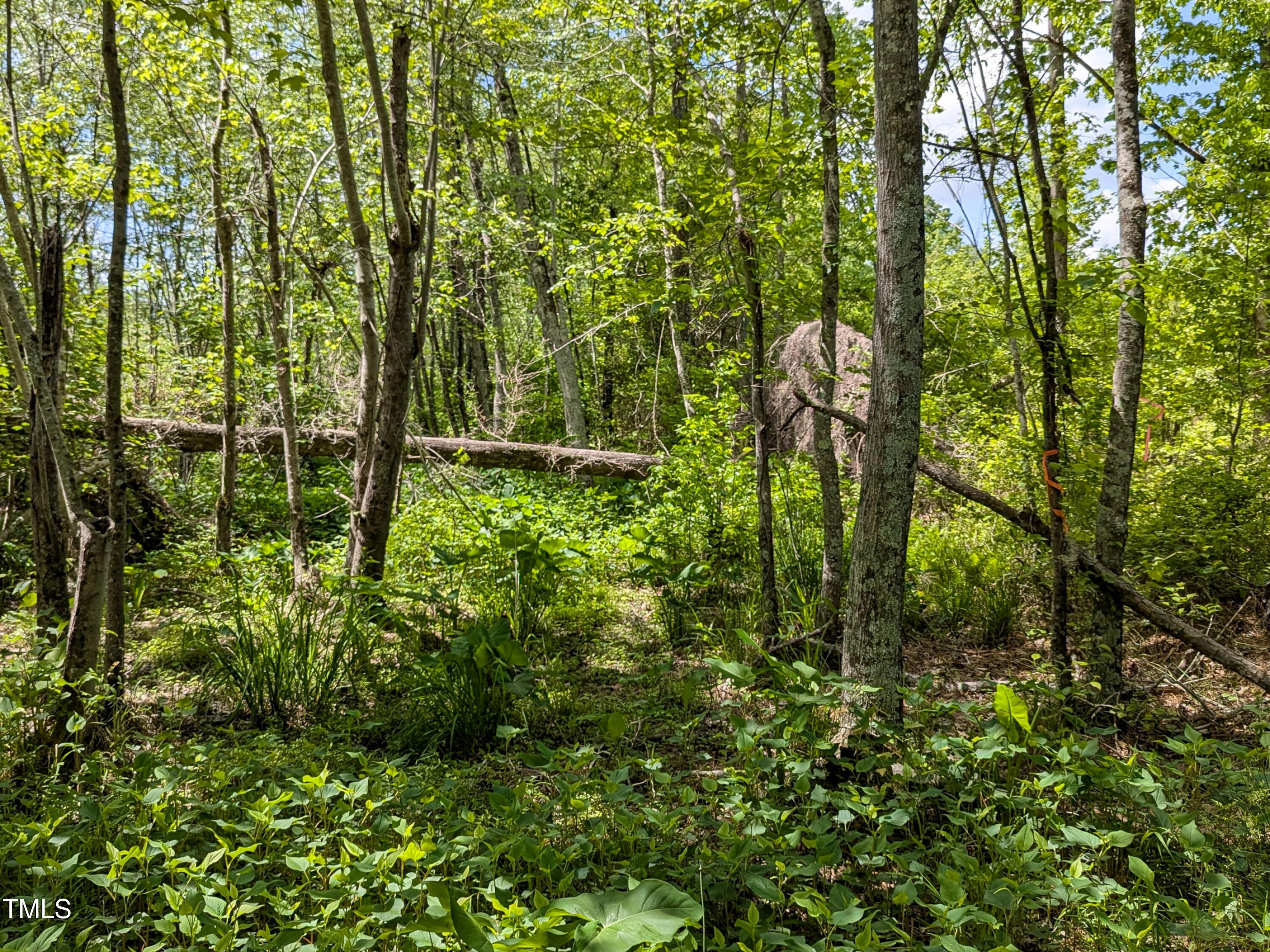 0 Cypress Creek Drive