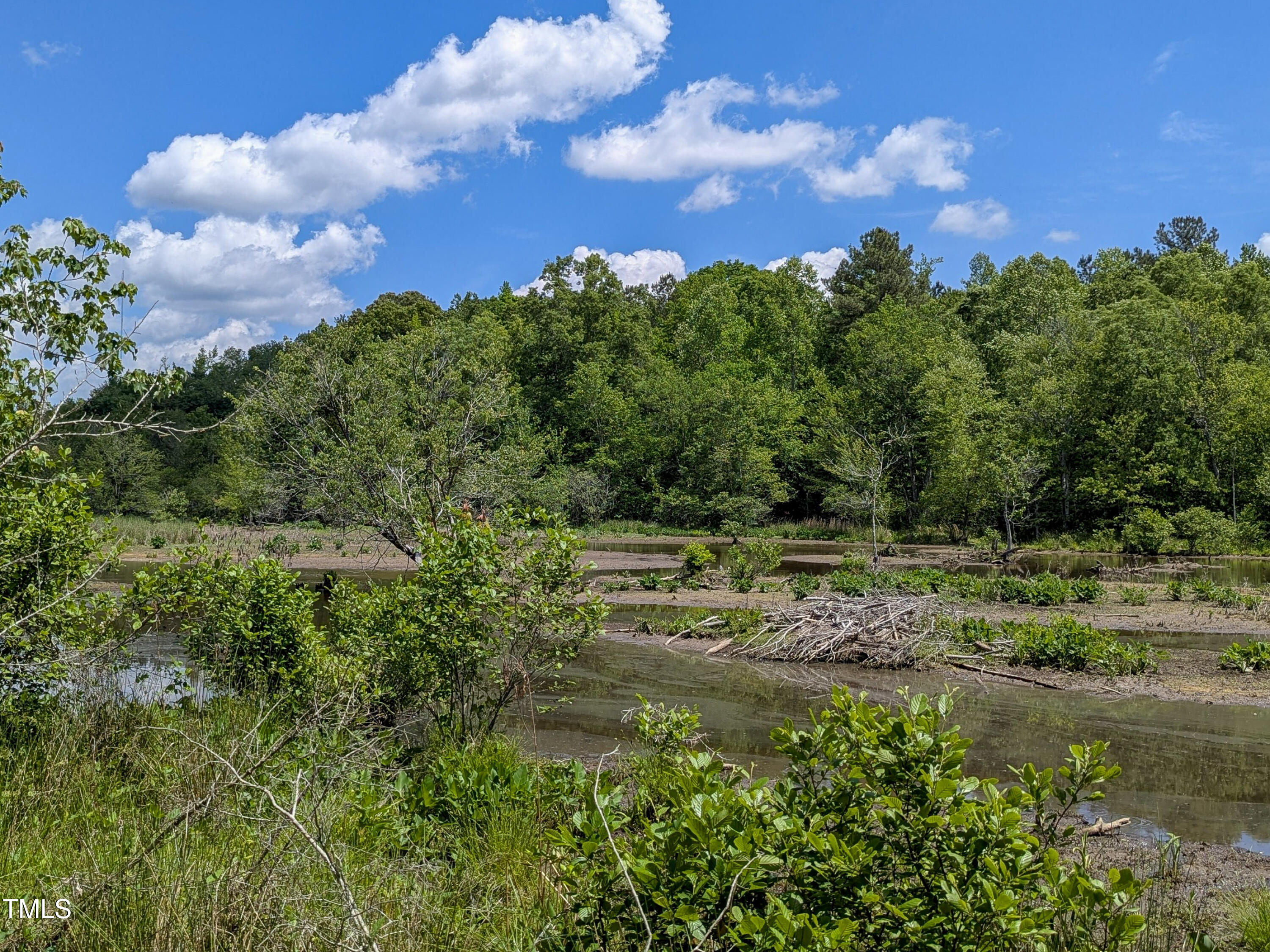 0 Cypress Creek Drive