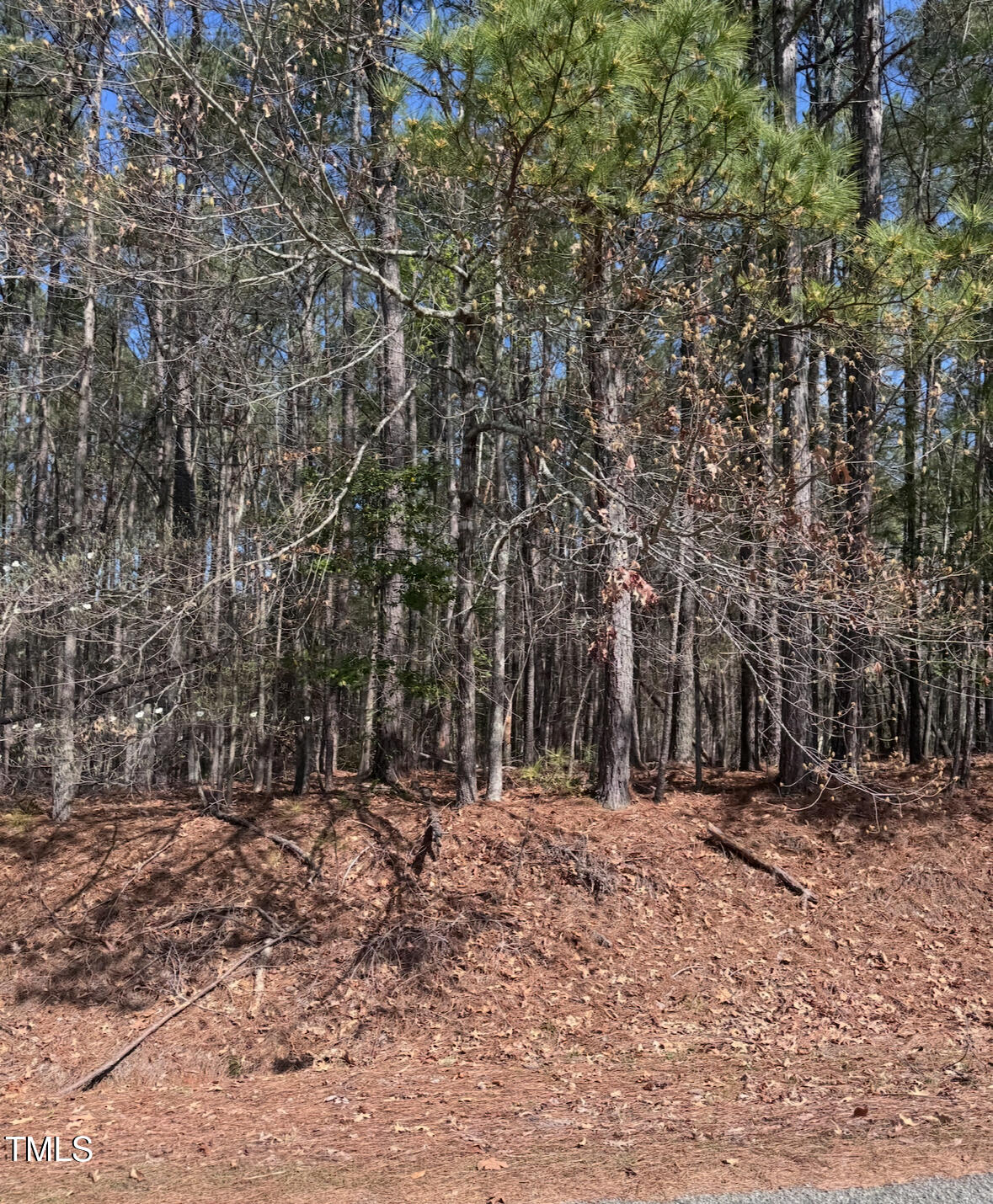 Lot 84 Twin Oaks Lane