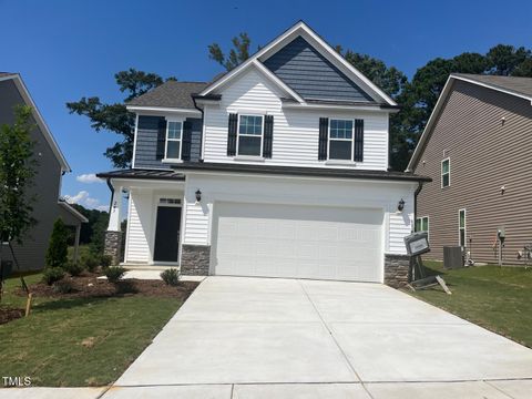 243 Steel Springs Lane Lane Angier NC 27501