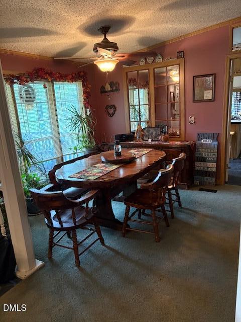 4620 Timberwood Trail