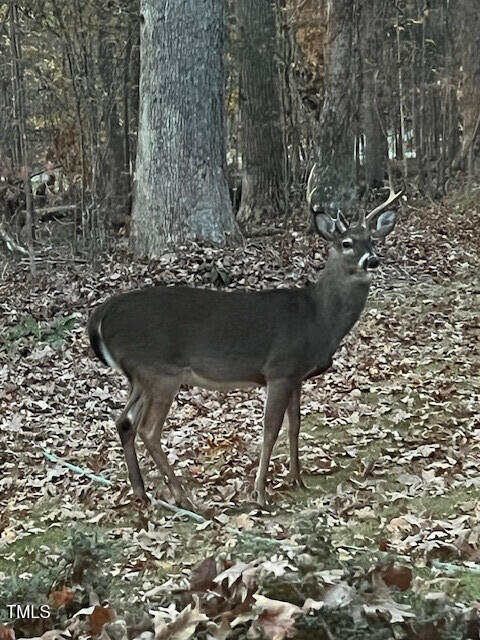 5500 Nc Hwy 86