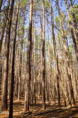 7023 SOUTHERN TRL, CHAPEL HILL, NC 27516 - Image b2ea5ffc448a41e498bd9367f8fb017b/1188154967