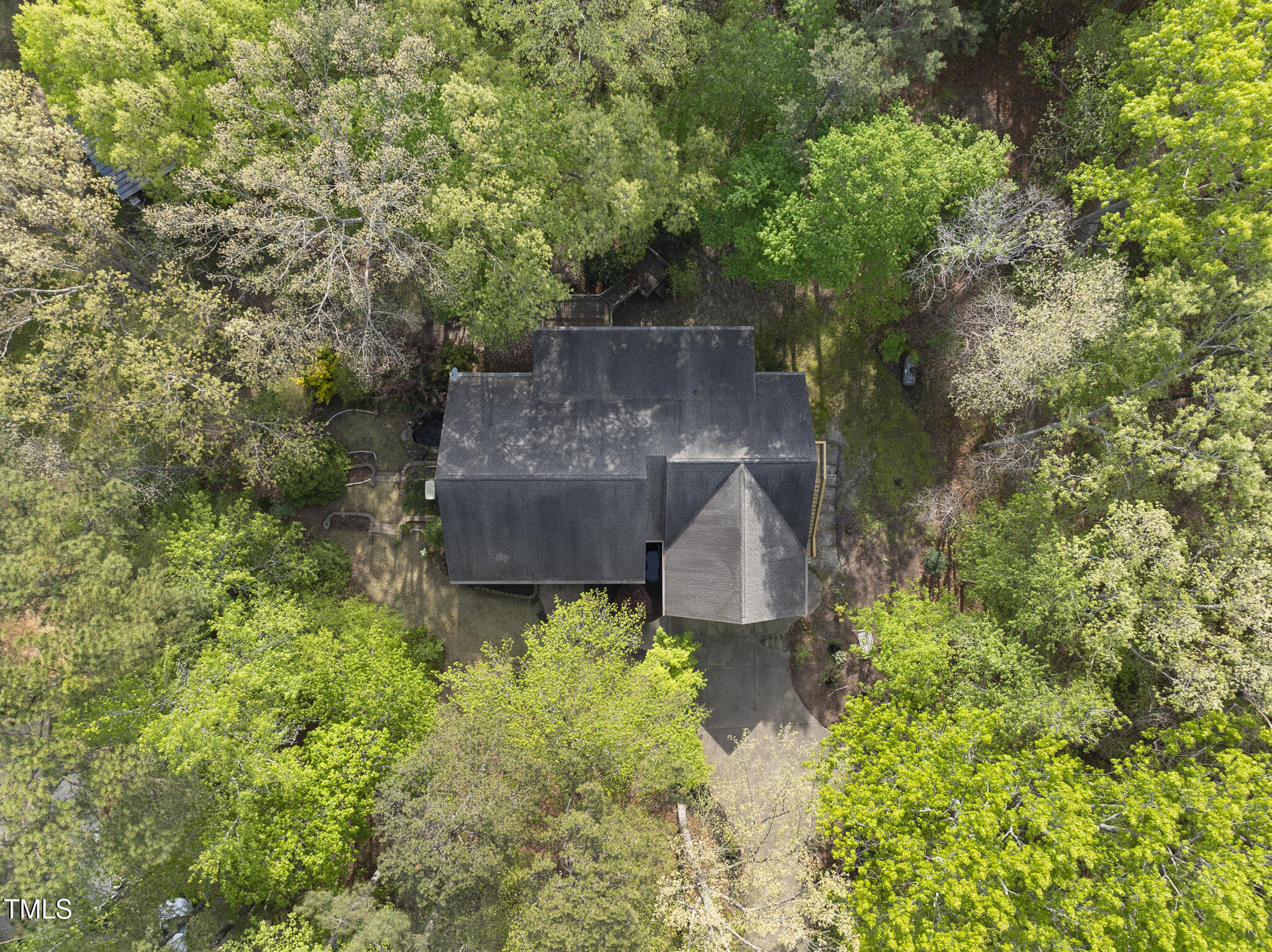50 Beech Trail