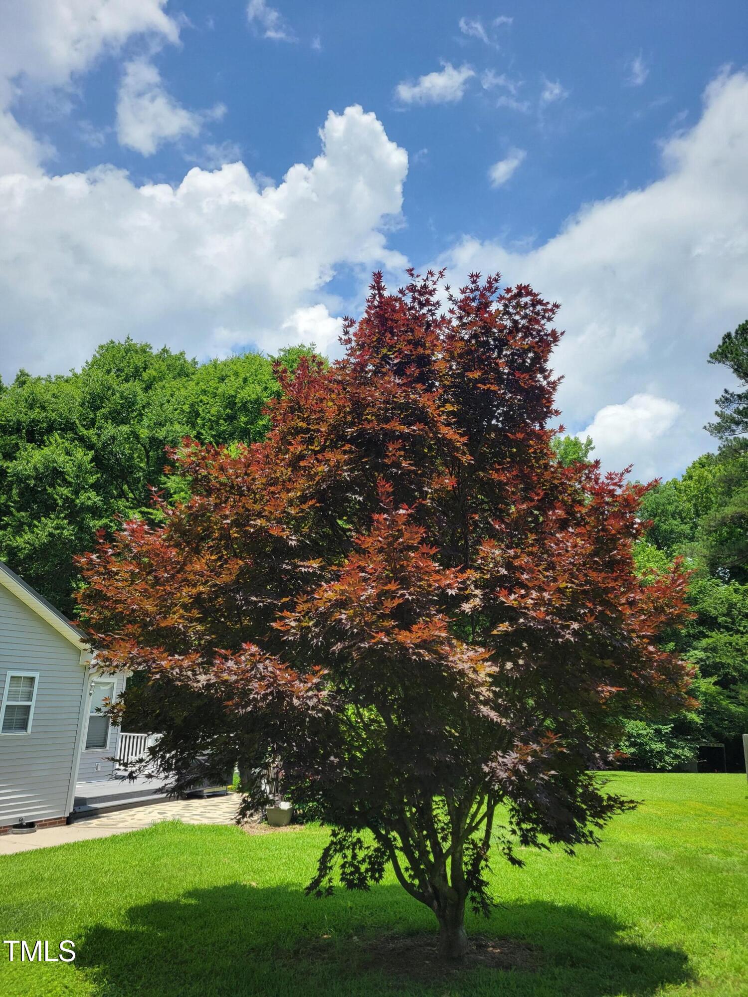 78 Phil Johnson Road