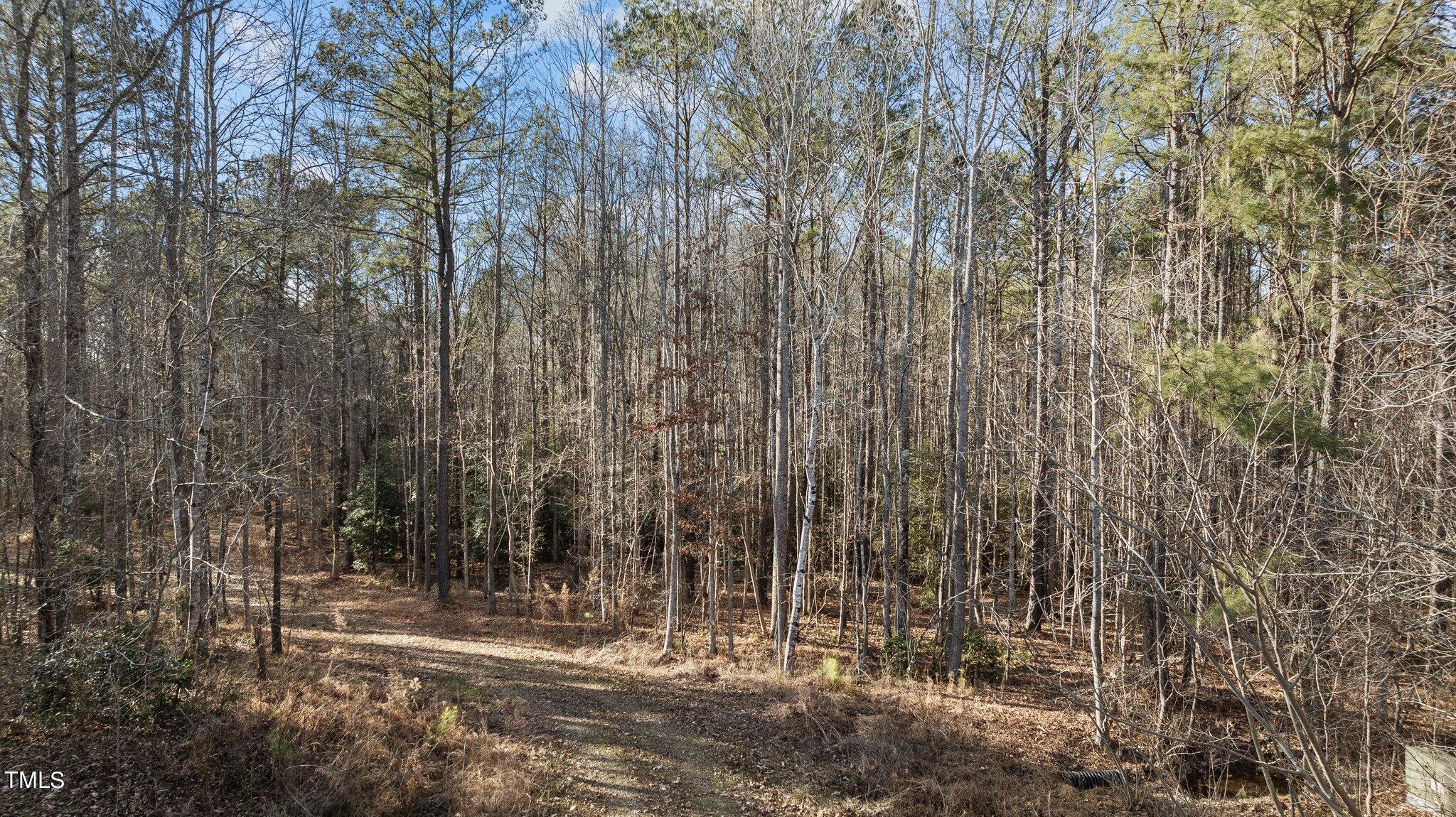 43.76 Acre Huntsburg Drive