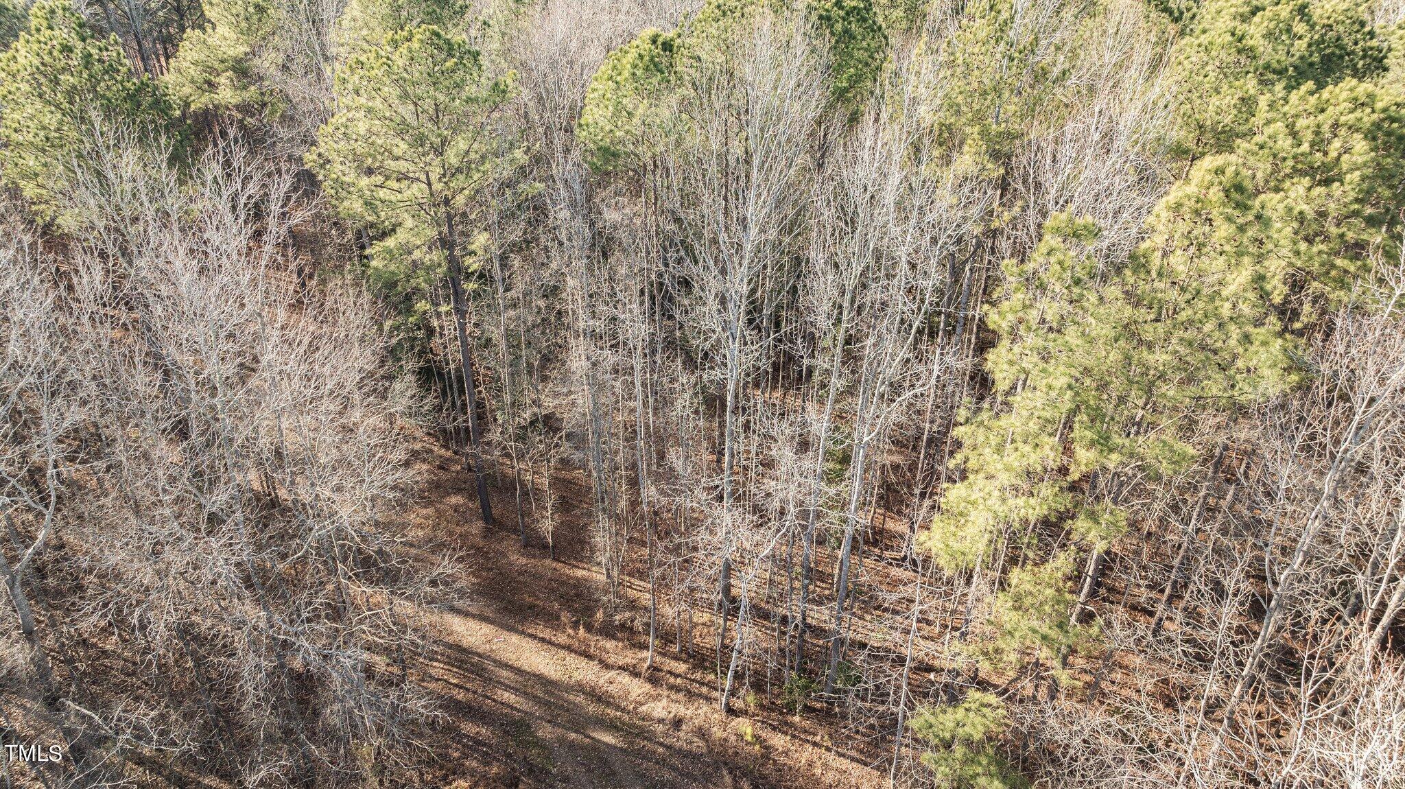 43.76 Acre Huntsburg Drive