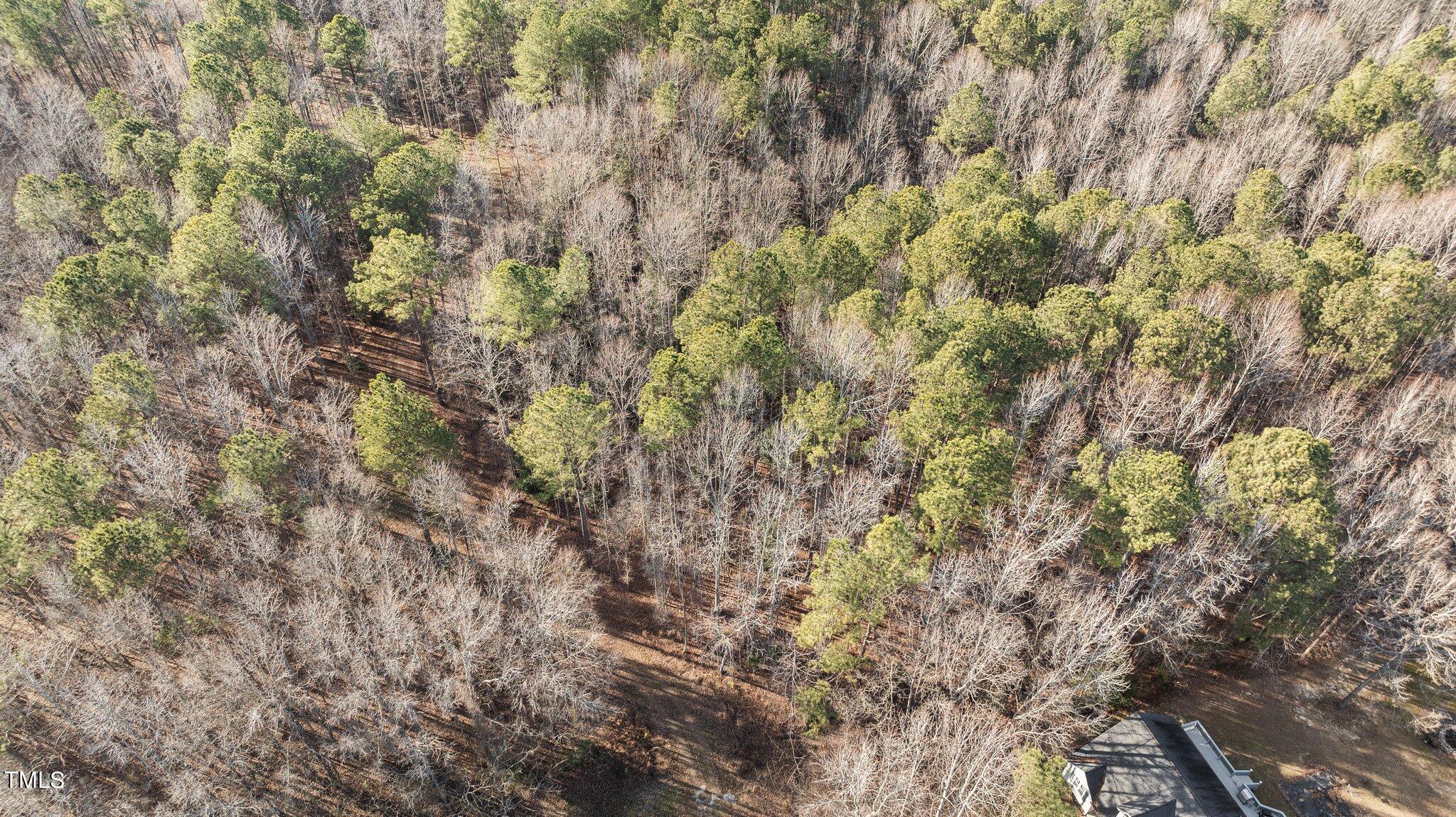 43.76 Acre Huntsburg Drive