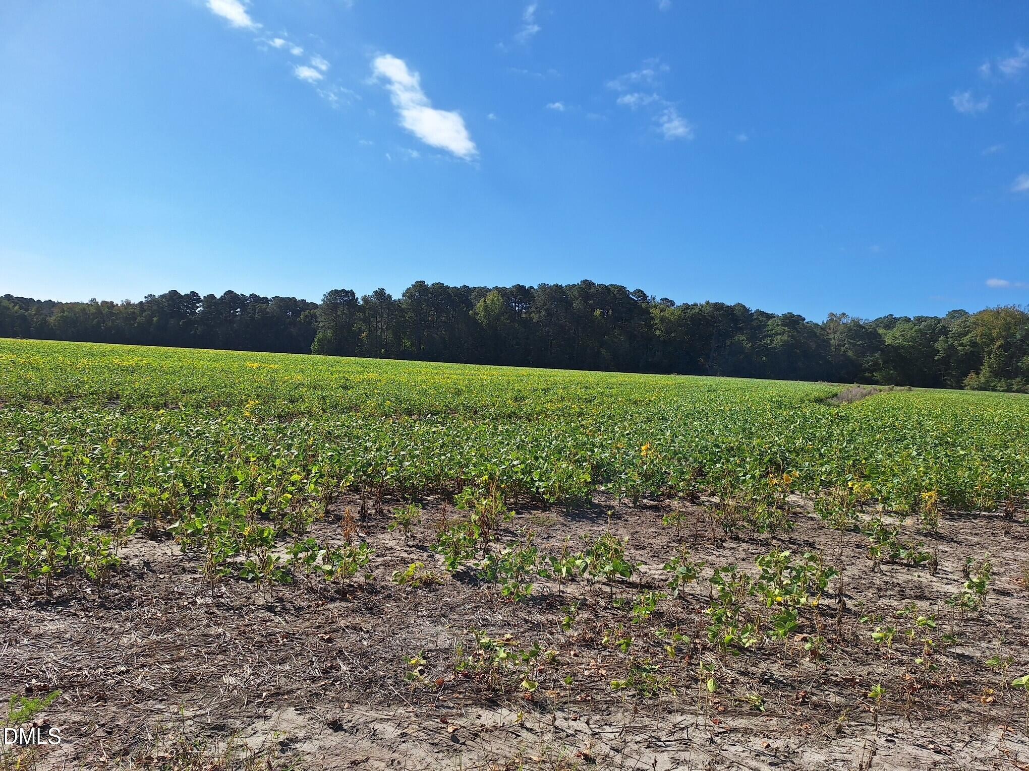 Tract 4 1676 Ross Road